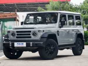 212 T01 Джип/SUV 5 дв. 06.2024 -  н.в.