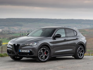 Alfa Romeo Stelvio (949) Джип/SUV 5 дв. 10.2022 -  н.в.