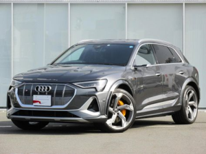 Audi e-tron S Джип/SUV 5 дв. 04.2022 -  н.в.