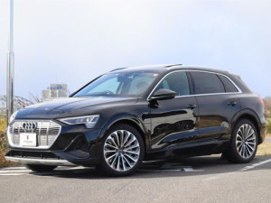 Audi e-tron Джип/SUV 5 дв. 12.2020 -  н.в.