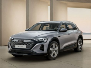Audi Q8 e-tron Джип/SUV 5 дв. 11.2022 -  н.в.