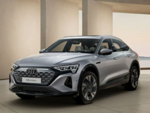Audi Q8 Sportback e-tron Джип/SUV 5 дв. 11.2022 -  н.в.