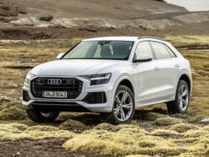 Audi Q8 Джип/SUV 5 дв., Гибрид 06.2018 - 09.2023