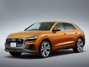 Audi Q8 Джип/SUV 5 дв., Гибрид 09.2019 - 09.2024