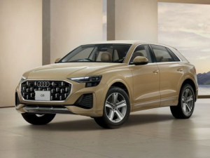 Audi Q8 Джип/SUV 5 дв., Гибрид 10.2024 - н.в.