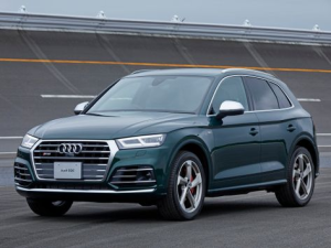 Audi SQ5 (FY) Джип/SUV 5 дв. 10.2017 - 02.2021