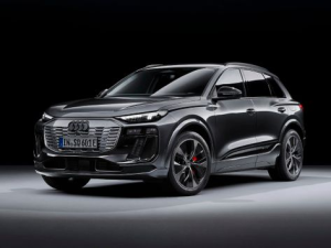 Audi SQ6 e-tron Джип/SUV 5 дв. 11.2023 -  н.в.