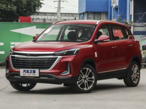BAIC X3 Джип/SUV 5 дв. 07.2019 - 06.2025
