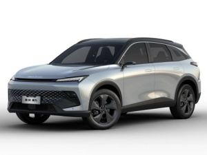 BAIC X55 Джип/SUV 5 дв. 07.2022 -  н.в.