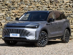 BAIC X7 Джип/SUV 5 дв. 04.2023 -  н.в.