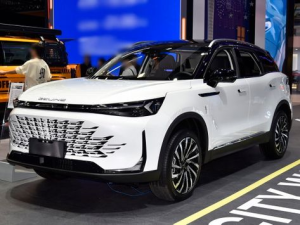 BAIC X75 Джип/SUV 5 дв. 02.2024 -  н.в.