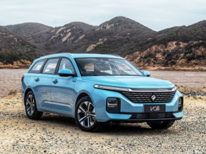 Baojun Valli Универсал 06.2021 -  н.в.