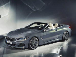 BMW 8-Series (G14) Открытый кузов 11.2018 - 03.2022