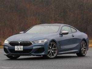 BMW 8-Series (G15) Купе 11.2018 - 02.2022