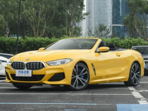 BMW 8-Series (G14) Открытый кузов 01.2022 -  н.в.