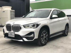 BMW X1 (F48) Джип/SUV 5 дв. 10.2019 - 01.2023