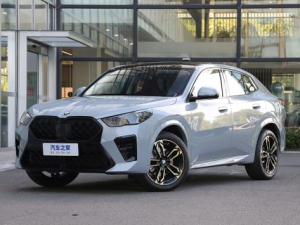 BMW X2 (U10) Джип/SUV 5 дв. 10.2023 -  н.в.