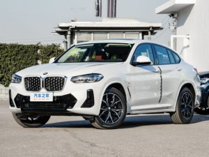 BMW X4 (G02) Джип/SUV 5 дв. 06.2021 -  н.в.