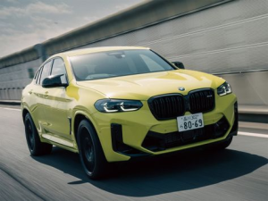 BMW X4 (G02) Джип/SUV 5 дв. 10.2021 -  н.в.