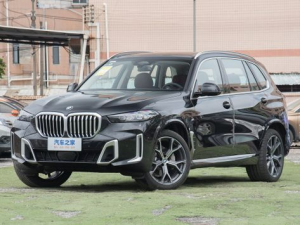 BMW X5 (G05) Джип/SUV 5 дв. 02.2023 -  н.в.