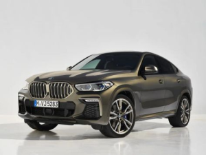 BMW X6 (G06) Джип/SUV 5 дв. 07.2019 - 03.2023