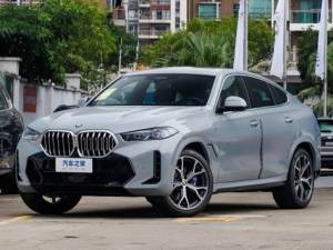 BMW X6 (G06) Джип/SUV 5 дв. 02.2023 -  н.в.