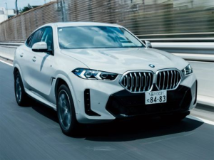 BMW X6 (G06) Джип/SUV 5 дв., Гибрид 04.2023 -  н.в.