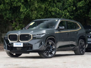 BMW XM (G09) Джип/SUV 5 дв., Гибрид 09.2022 -  н.в.