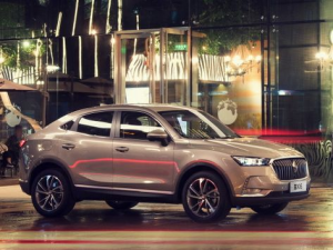 Borgward BX6 Джип/SUV 5 дв. 05.2018 - 12.2019
