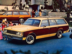 Buick Century Универсал 10.1977 - 11.1981