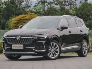 Buick Envision Plus Джип/SUV 5 дв. 04.2021 - 06.2024