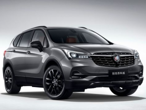Buick Envision Джип/SUV 5 дв. 11.2019 - 09.2020