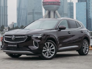 Buick Envision Джип/SUV 5 дв. 05.2020 -  н.в.