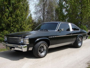 Buick Skylark Хэтчбек 3 дв. 09.1974 - 04.1979
