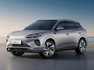 BYD Sea Lion 06 Джип/SUV 5 дв., Гибрид 04.2025 -  н.в.