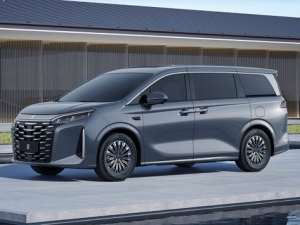 BYD Xia Минивэн, Гибрид 08.2024 -  н.в.
