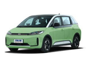 BYD D1 Минивэн 11.2020 -  н.в.