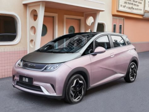 BYD Dolphin Хэтчбек 5 дв. 04.2021 - н.в.