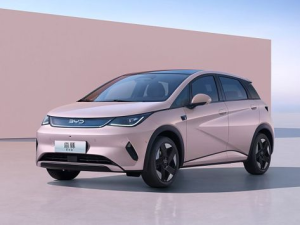 BYD Dolphin Хэтчбек 5 дв. 02.2025 - н.в.