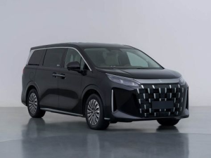 BYD Linghui M9 Минивэн 01.2026 -  н.в.