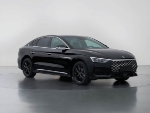 BYD Linghui e9 Седан 01.2026 -  н.в.