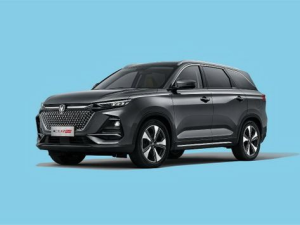 Changan X7 Plus Джип/SUV 5 дв. 01.2024 -  н.в.
