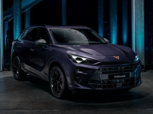 Cupra Terramar Джип/SUV 5 дв., Гибрид 09.2024 -  н.в.