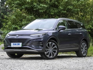 Denza N8 Джип/SUV 5 дв., Гибрид 03.2023 - 09.2024