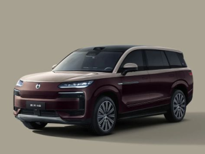 Denza N9 Джип/SUV 5 дв., Гибрид 11.2024 -  н.в.