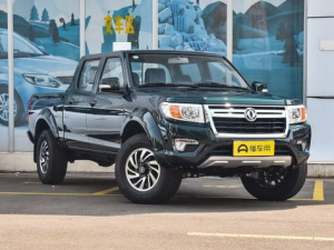 Dongfeng Rich Пикап 12.2018 - 01.2021