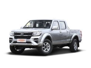 Dongfeng Rich Пикап 04.2023 -  н.в.