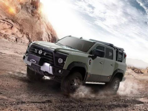 Dongfeng Mengshi MS600 Пикап 02.2023 -  н.в.