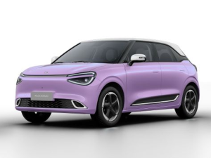 Dongfeng Nammi 01 Хэтчбек 5 дв. 01.2024 -  н.в.