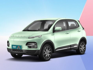 Dayun Yuehu Джип/SUV 5 дв. 04.2020 -  н.в.
